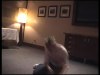 esotsm-conversation021.jpg